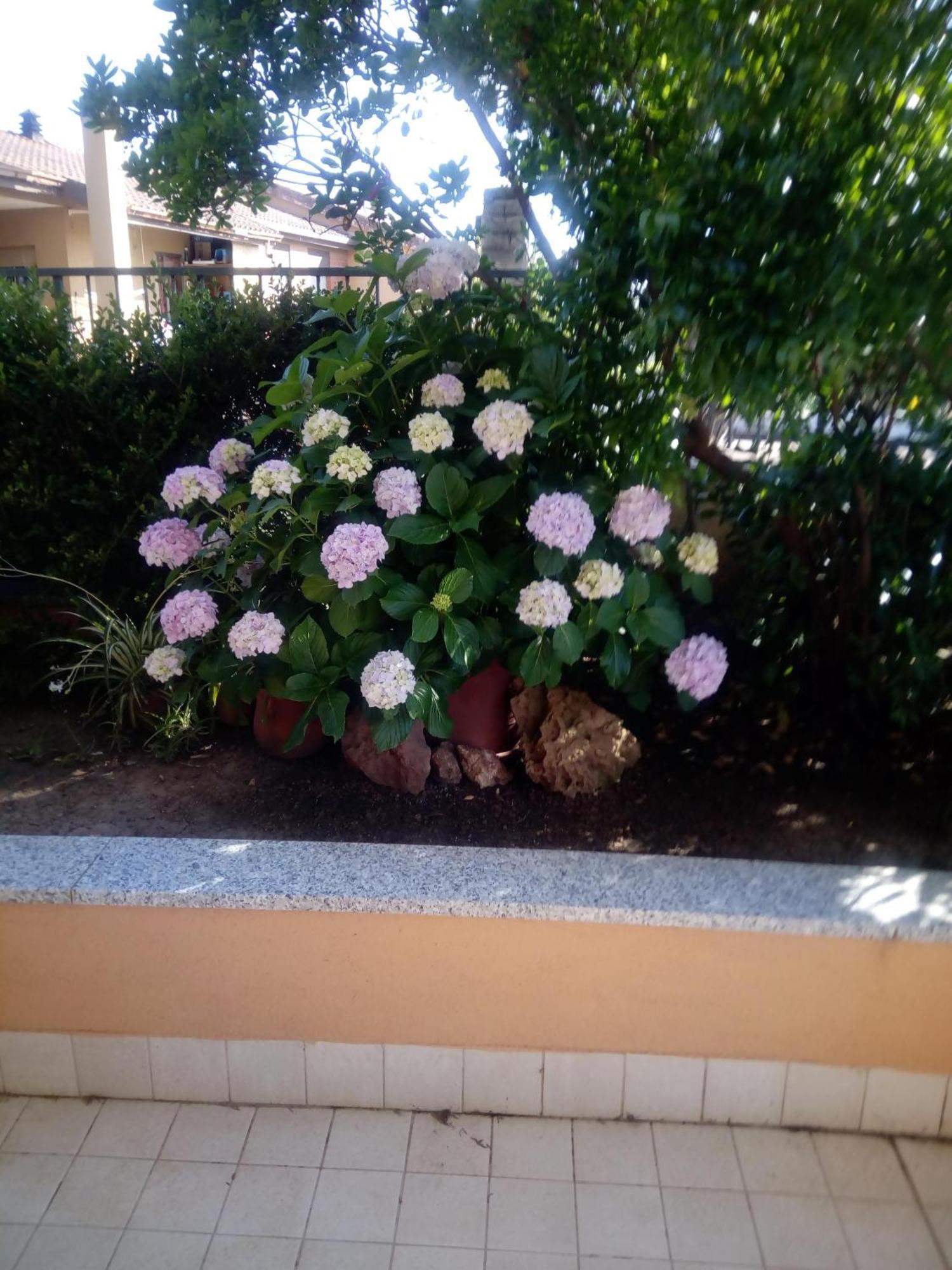 Casa Al Mare Con Giardino Villa Алгеро Екстериор снимка